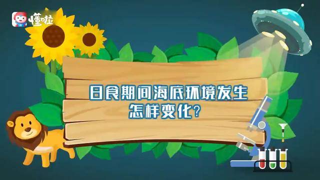 本泽马金球奖赛季，皇马欧冠夺冠核心